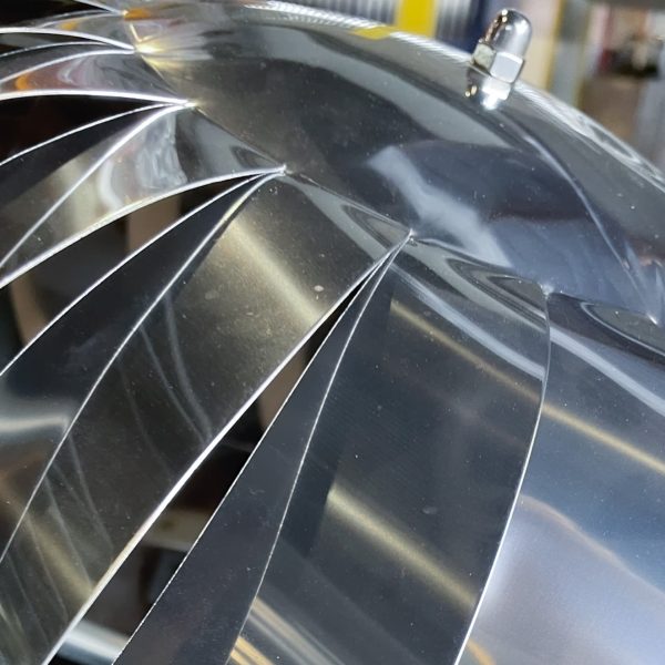 IMG 9332 rgb9z34im5u5sefoifrgwh3wc9kasqenf2vueogei8 Camini su misura IMG 9332 rgb9z34im5u5sefoifrgwh3wc9kasqenf2vueogei8 Camini su misura